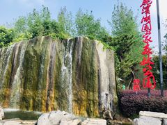 -合肥滨湖国家森林公园