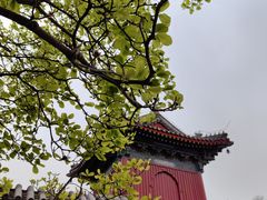 -北京艺术博物馆(万寿寺)