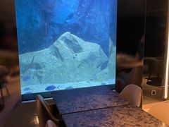 -渔火·特色餐厅(佘山世茂洲际酒店)