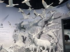 -中国湿地博物馆