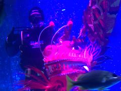 -沈阳海洋探索中心