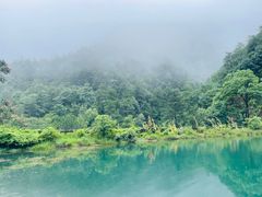 -大奇山国家森林公园