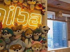 -豆柴町-柴犬主题狗咖(红鼎国际C座店)