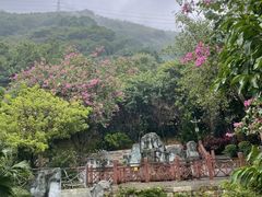 -小南山公园