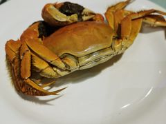 -裕龙汤泉