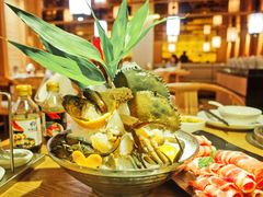 -尚海豆捞(乐虹坊店)