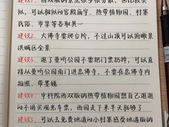 -西双版纳傣族园