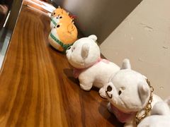 -柴务处·柴犬主题狗咖