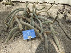 -南山植物园