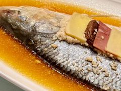 -老吉士酒家(天平路店)