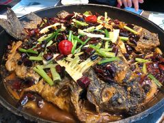 -老板恋上鱼(恒隆广场店)