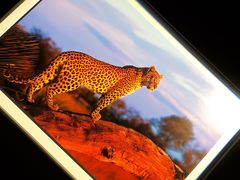 -罗红摄影艺术馆