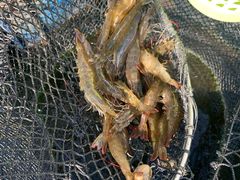 -海上驿站渔家菜馆