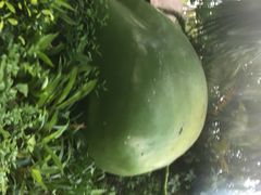 iphone_upload_pic-三亚珠江南田温泉度假区