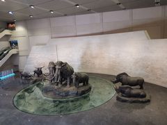 -大庆市博物馆