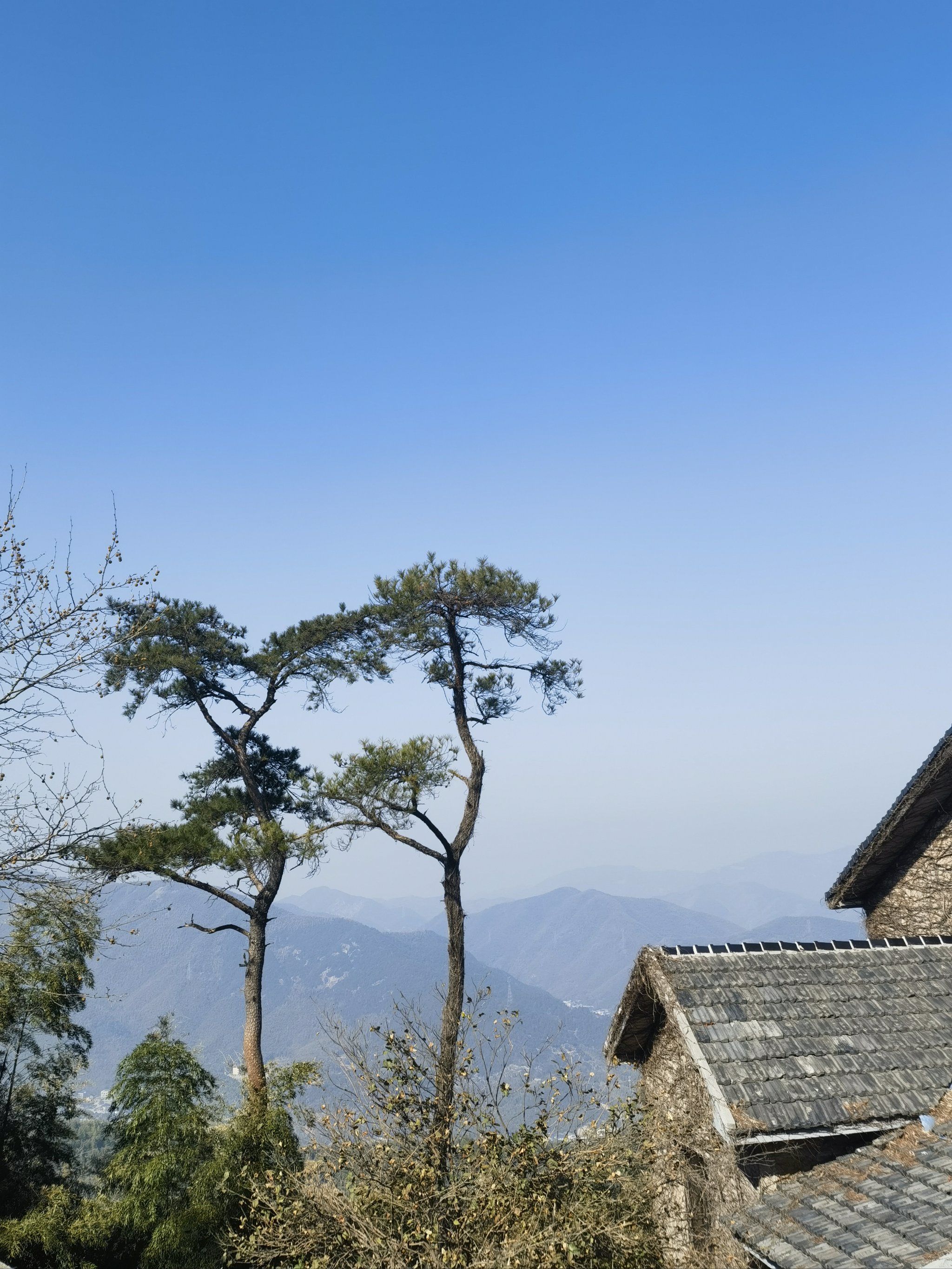 周末爬山小憩,莫干山也是不错的选择