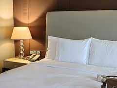 -北京朝阳悠唐皇冠假日酒店