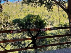 -野象谷景区