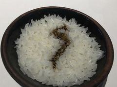 -丹虾|文和友小龙虾·烙锅(陕西路旗舰店)