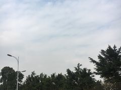 -重庆悦来温德姆酒店