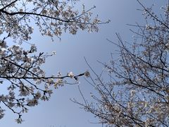 -西北湖绿化广场