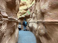 -陕西自然博物馆