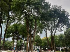 -重庆市江北嘴中央商务区中央公园