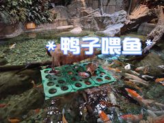 -北京海洋馆