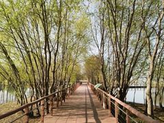 -贡湖湾湿地公园