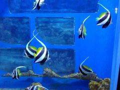 -福州罗源湾海洋世界旅游区