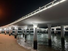 -演武大桥观景平台