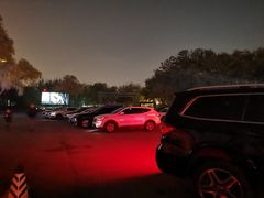 -枫花园汽车电影院(朝阳公园店)