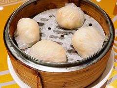 -金燕岛潮州酒楼