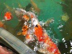 -多彩贵州城极地海洋世界