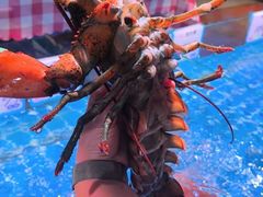 -阿里元海鲜·闽南特色菜(曾厝垵店)