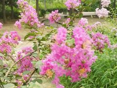 -回龙观体育文化公园