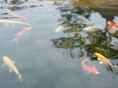 景点-罗红摄影艺术馆
