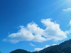 -武陵山森林公园