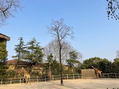 -上海野生动物园