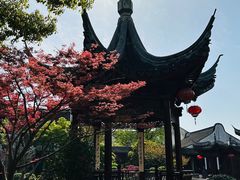 -檀园