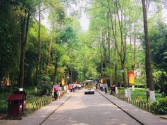 -邓小平故里