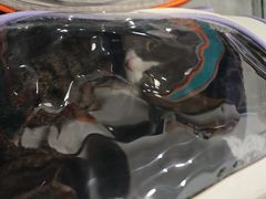-贝利宠物医院·骨科·眼科·肿瘤转诊中心(南坪诊疗中心)