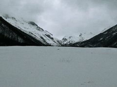 -黄龙山原始森林景区