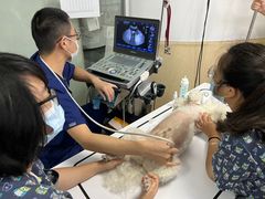 -爱侣宠医·鹦鹉专科·小型哺乳类·异宠专科(灵石路店)