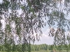 -呼兰河口湿地公园