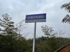-蜀南竹海景区