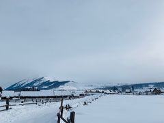 -喀纳斯禾木山庄