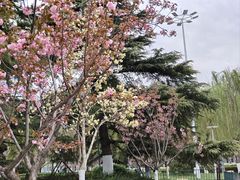 -泉城广场