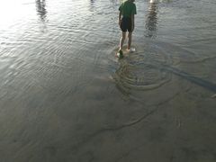 -红树林天天赶海