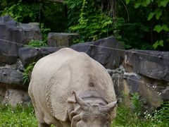-上海野生动物园